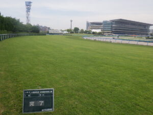 小倉競馬場 芝馬場芝張替工事